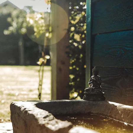 Landelijke Rust Couette-café Lutjewinkel