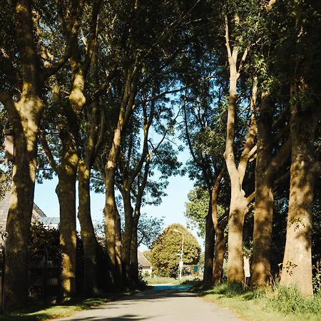 Landelijke Rust Couette-café 3*