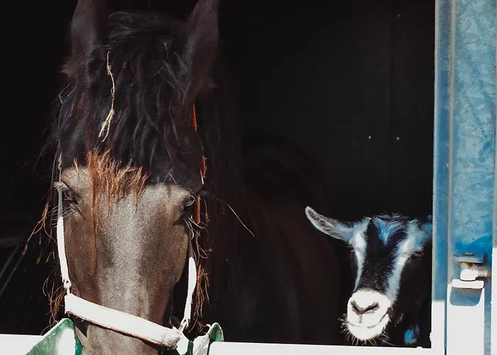 Landelijke Rust Lutjewinkel