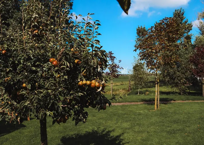 Bed & Breakfast Landelijke Rust