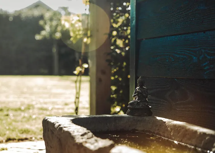 Landelijke Rust Bed & Breakfast Lutjewinkel