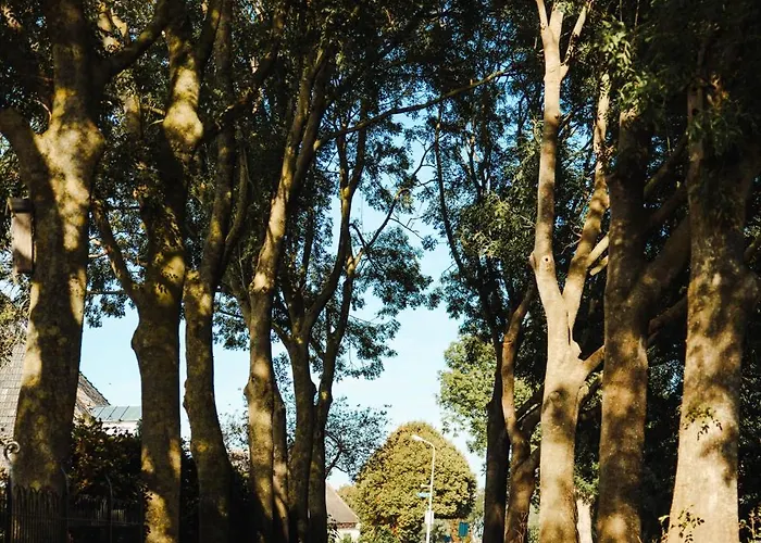 Landelijke Rust Bed & Breakfast 3*