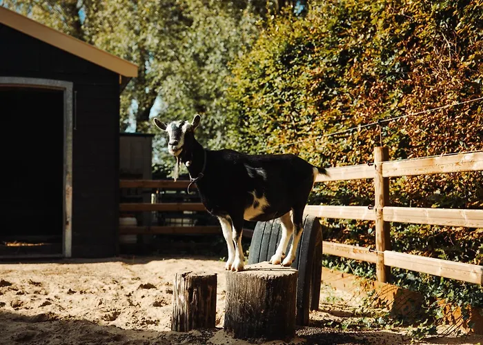 Bed & Breakfast Landelijke Rust